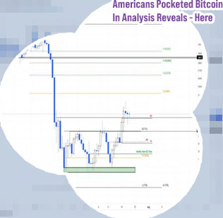 Americans in bitcoin profits in analysis