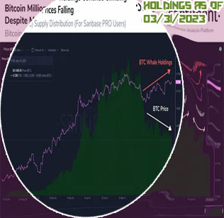 Bitcoin holdings