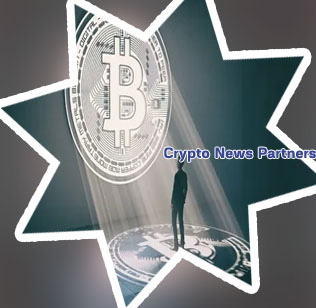 Eloneone crypto price