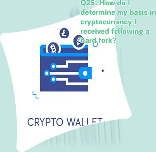 True wallet crypto